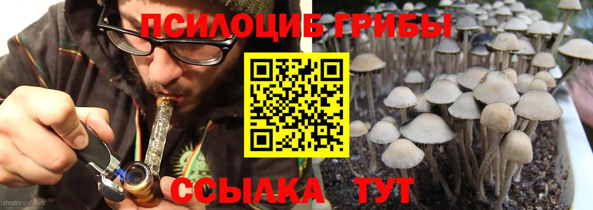 Галлюциногенные грибы мицелий Верхняя Салда
