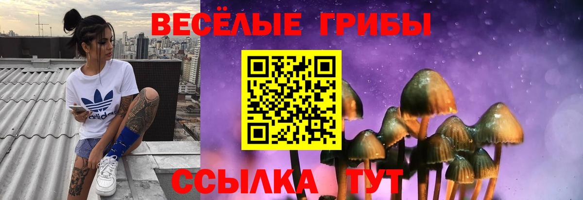 Верхняя Салда  купить наркотик  Вход с VPN  Псилоцибиновые грибы мухоморы 